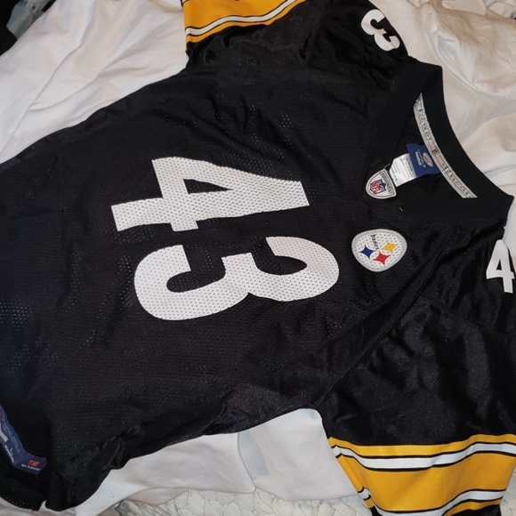 troy polamalu jersey retired